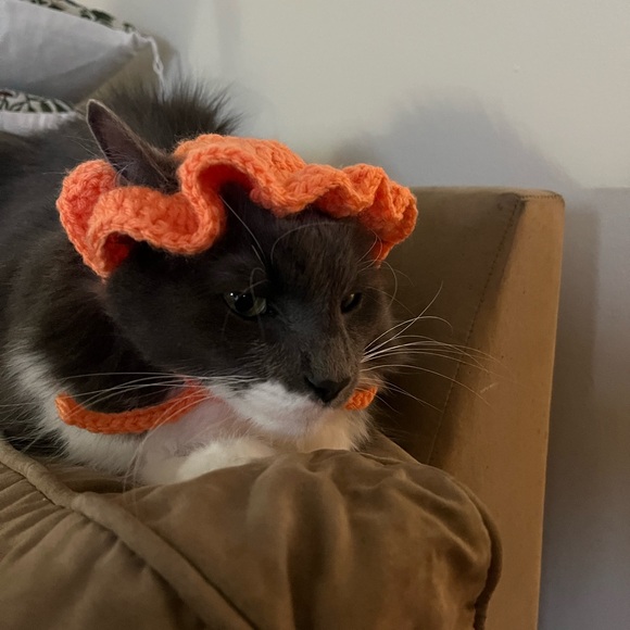 HANDMADE cat bonet bucket hat for cats cat accessories - Picture 5 of 12